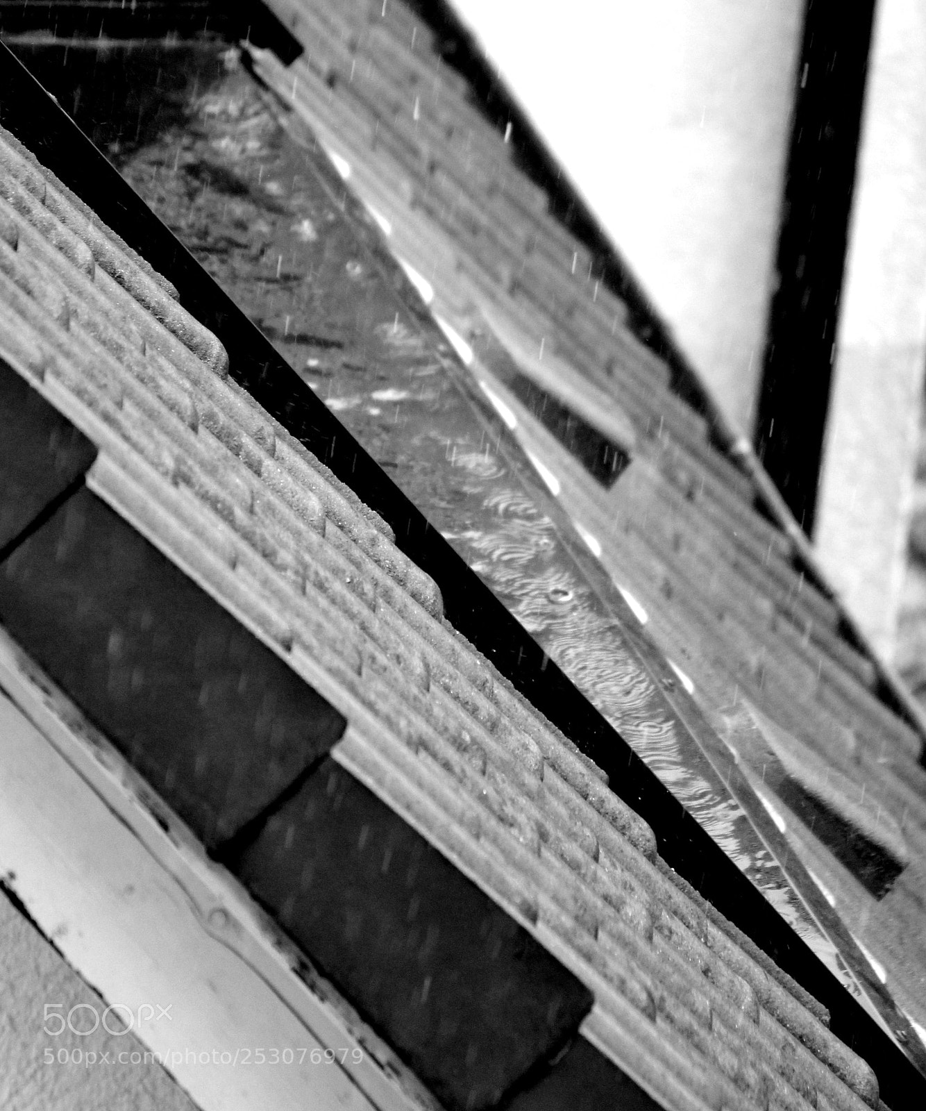 Canon EOS 600D (Rebel EOS T3i / EOS Kiss X5) sample photo. Darknature photography