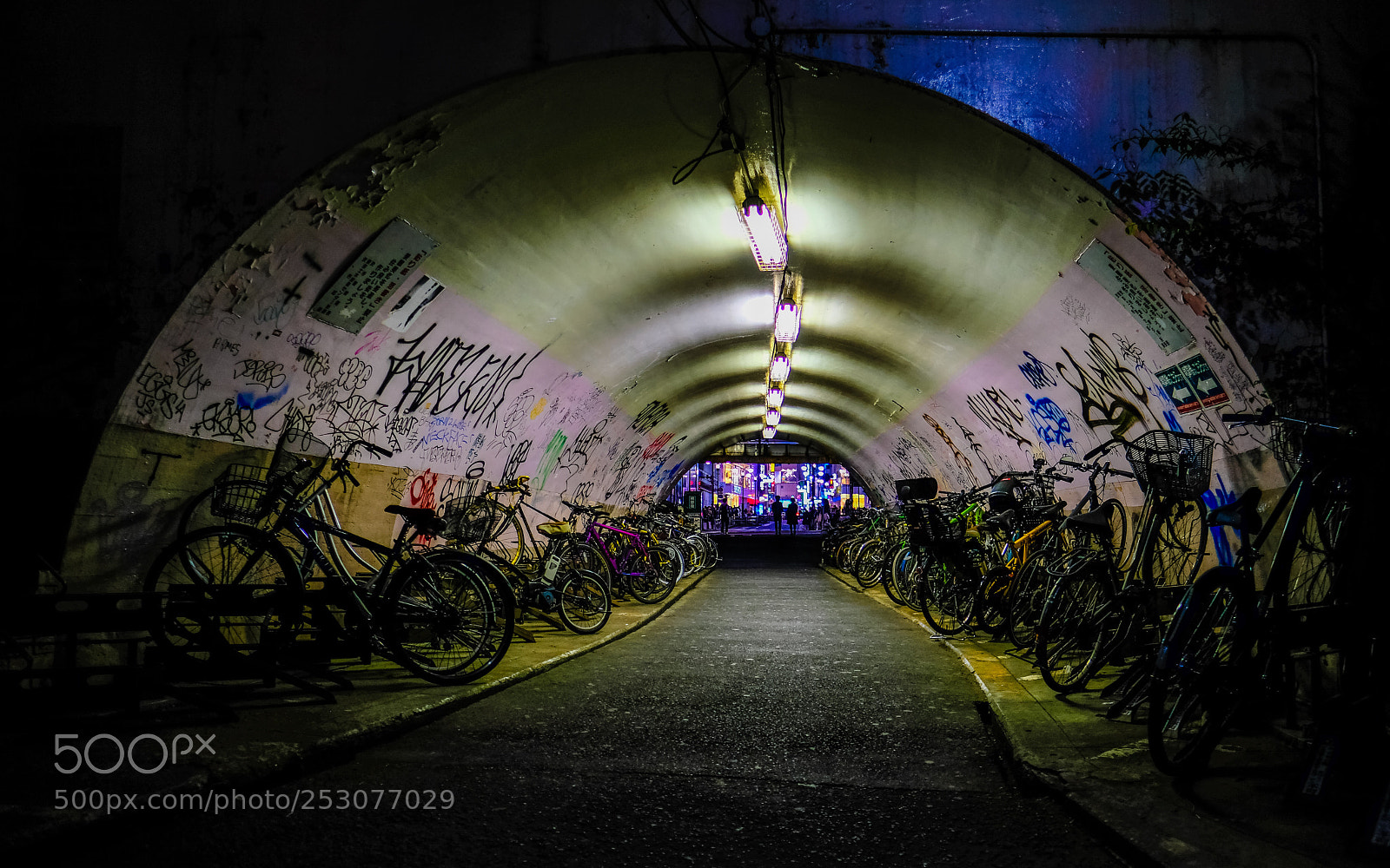Fujifilm X-T20 sample photo. The tunnel photography