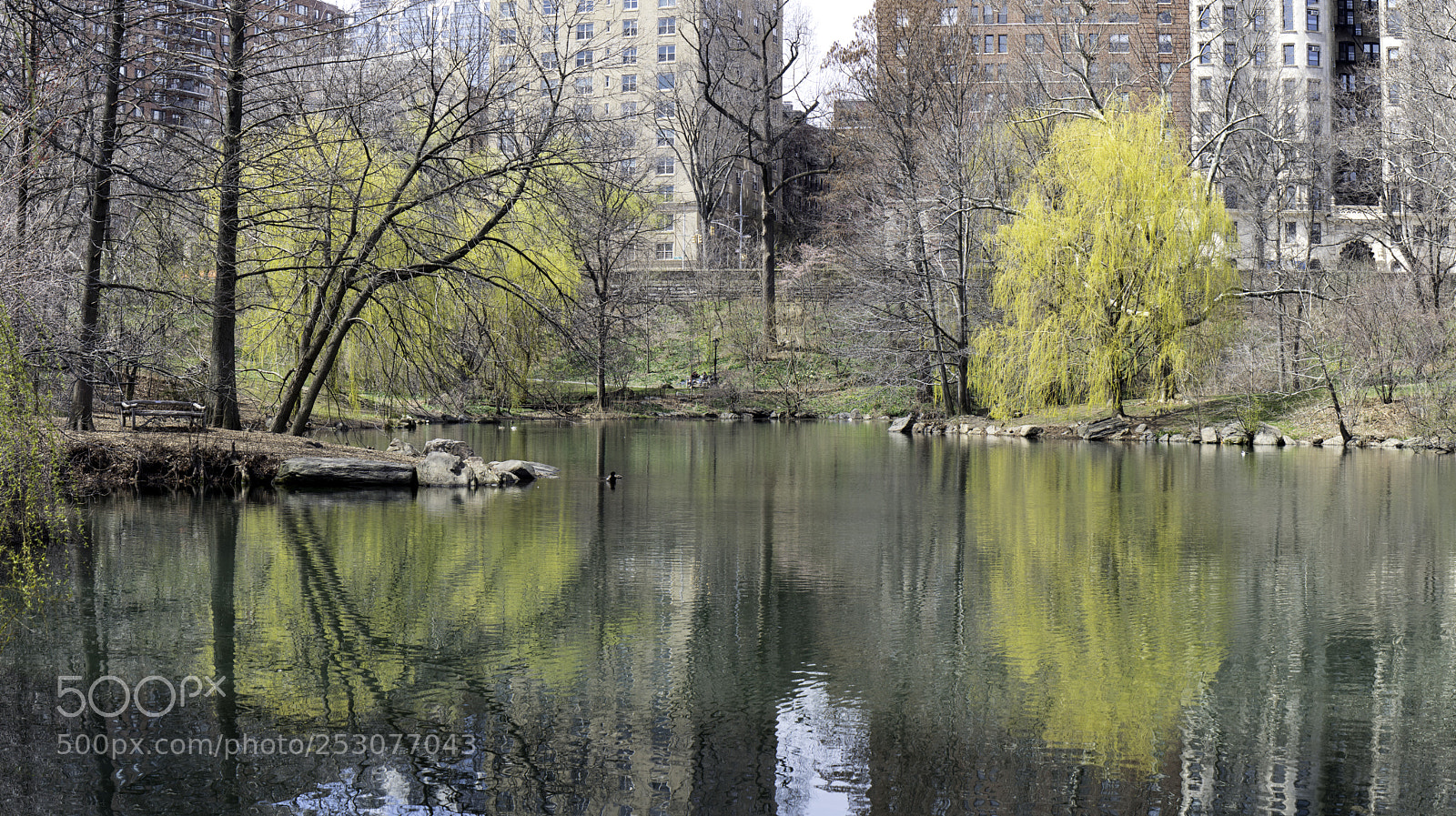 Sony a7R II sample photo. Early spring iii photography
