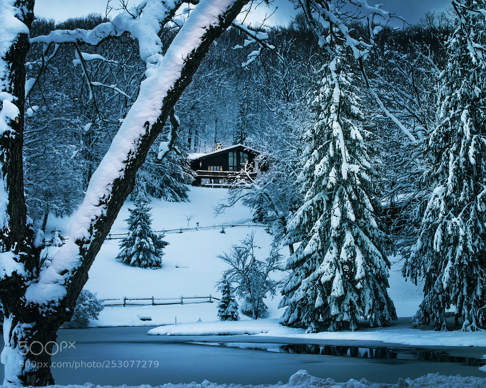 Nikon D7200 sample photo. 2018 the long winter photography