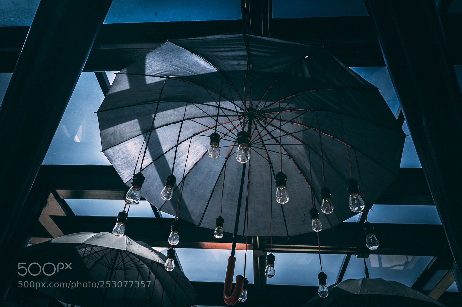 Sony a6000 sample photo. Under my umbrella photography