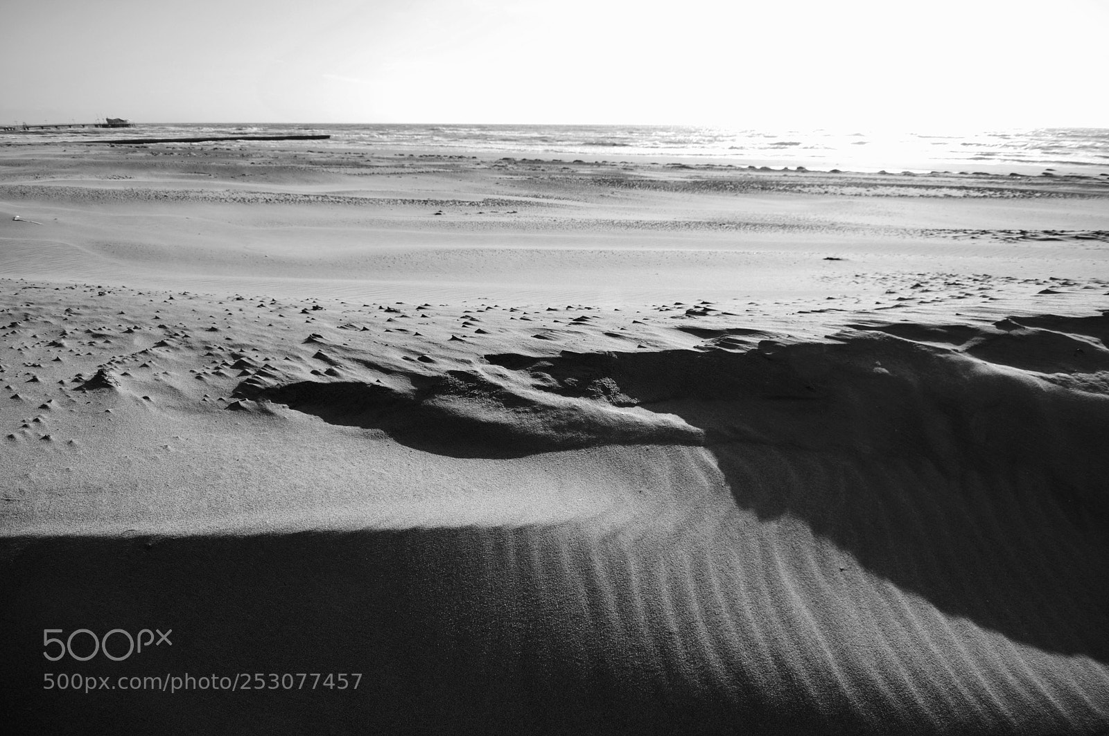Canon EOS 760D (EOS Rebel T6s / EOS 8000D) sample photo. Sand photography