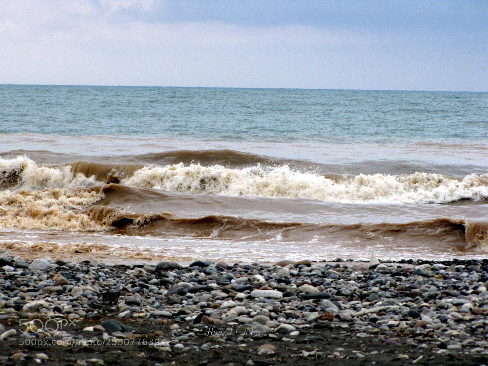 Canon PowerShot SX10 IS sample photo. Gel alood photography