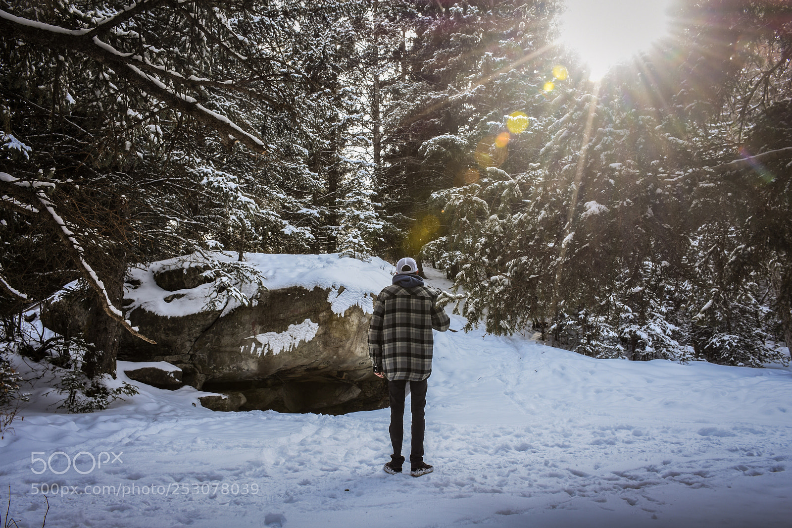 Nikon D7200 sample photo. Like for portraits photography