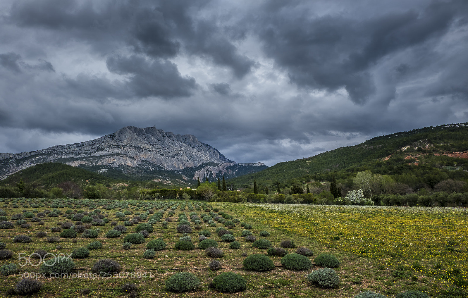Fujifilm X-E3 sample photo. Montagne sainte victoire au photography