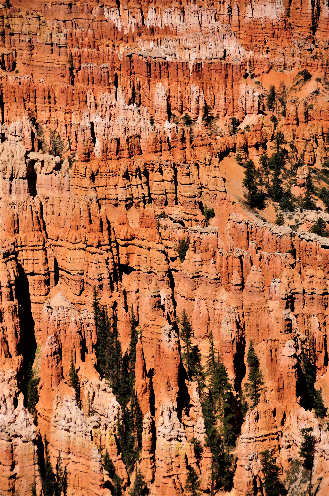 Nikon D300 sample photo. Bryce canyon photography