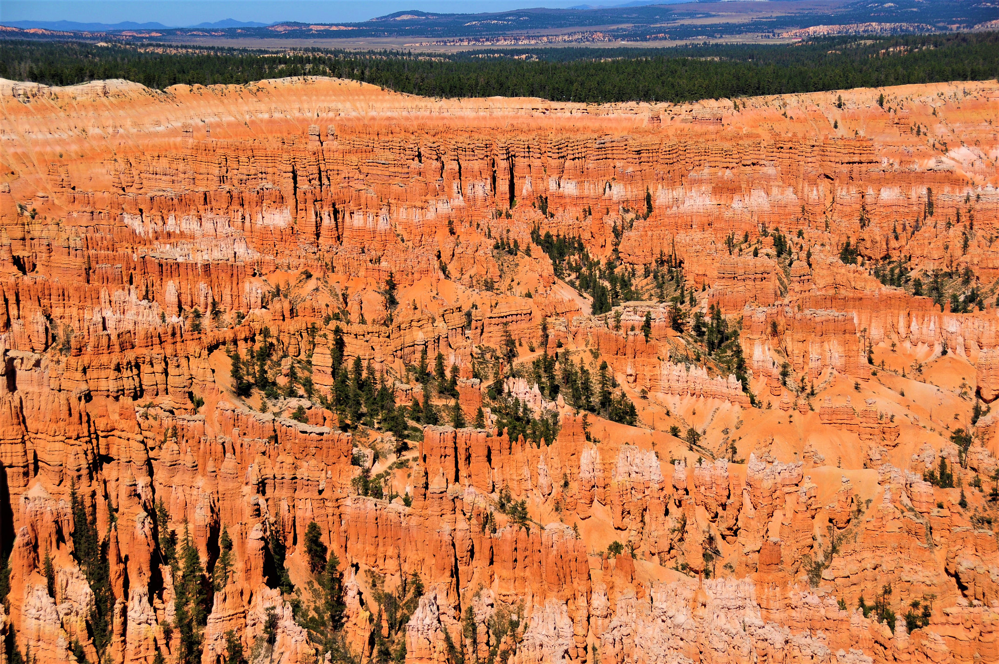 Nikon D300 sample photo. Bryce canyon photography