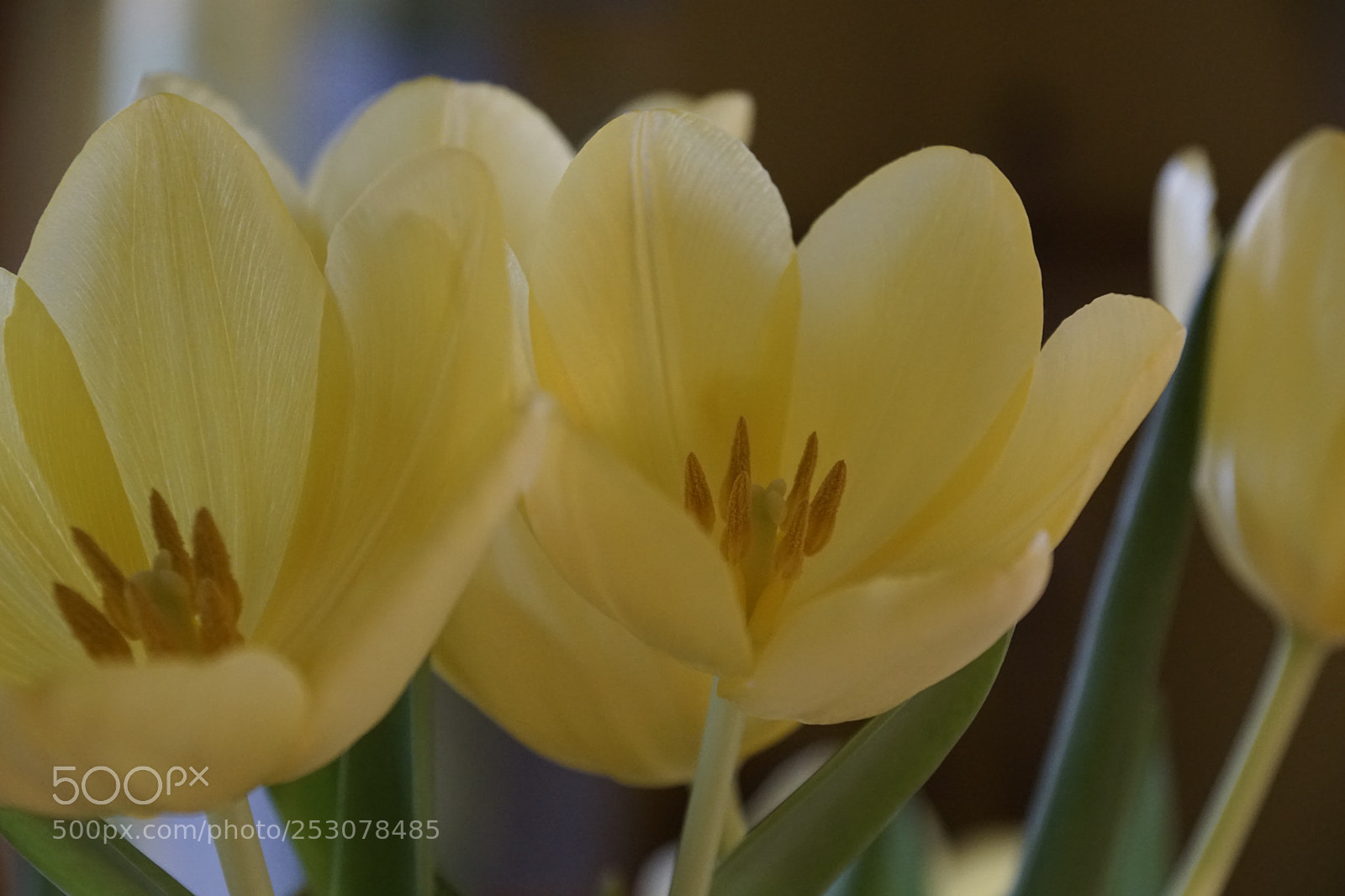 Sony ILCA-77M2 sample photo. Untitled photography