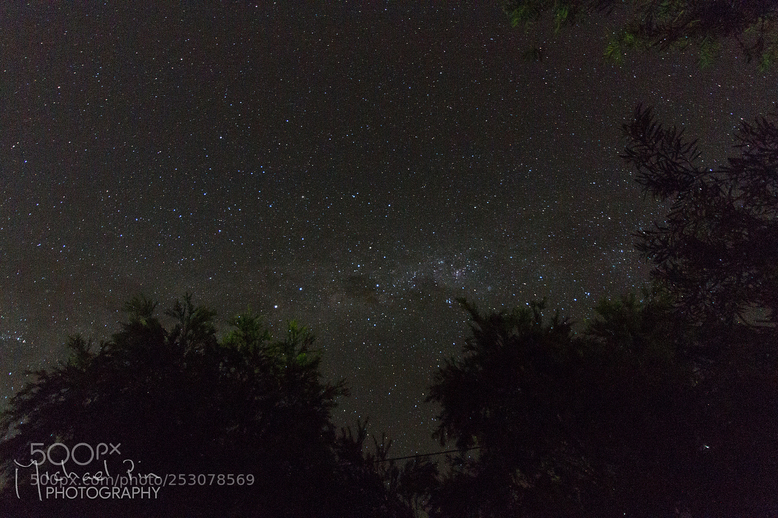 Canon EOS 7D sample photo. Galaxy above the treeline photography