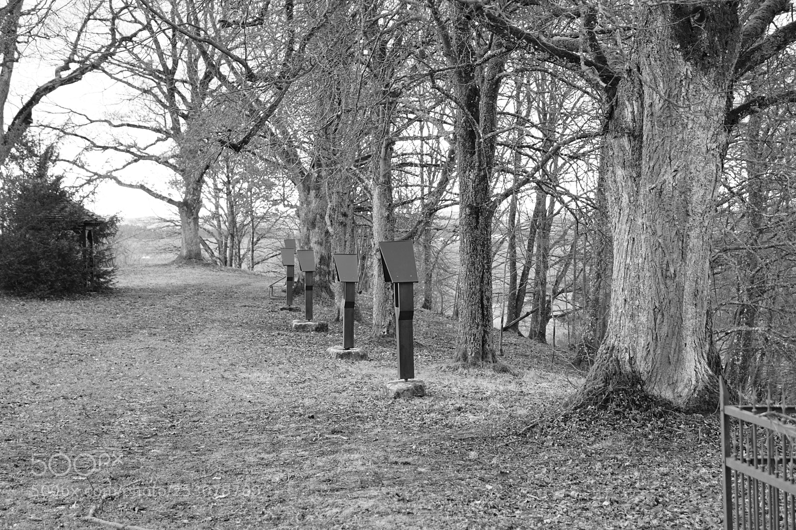 Sony SLT-A68 sample photo. Untitled photography