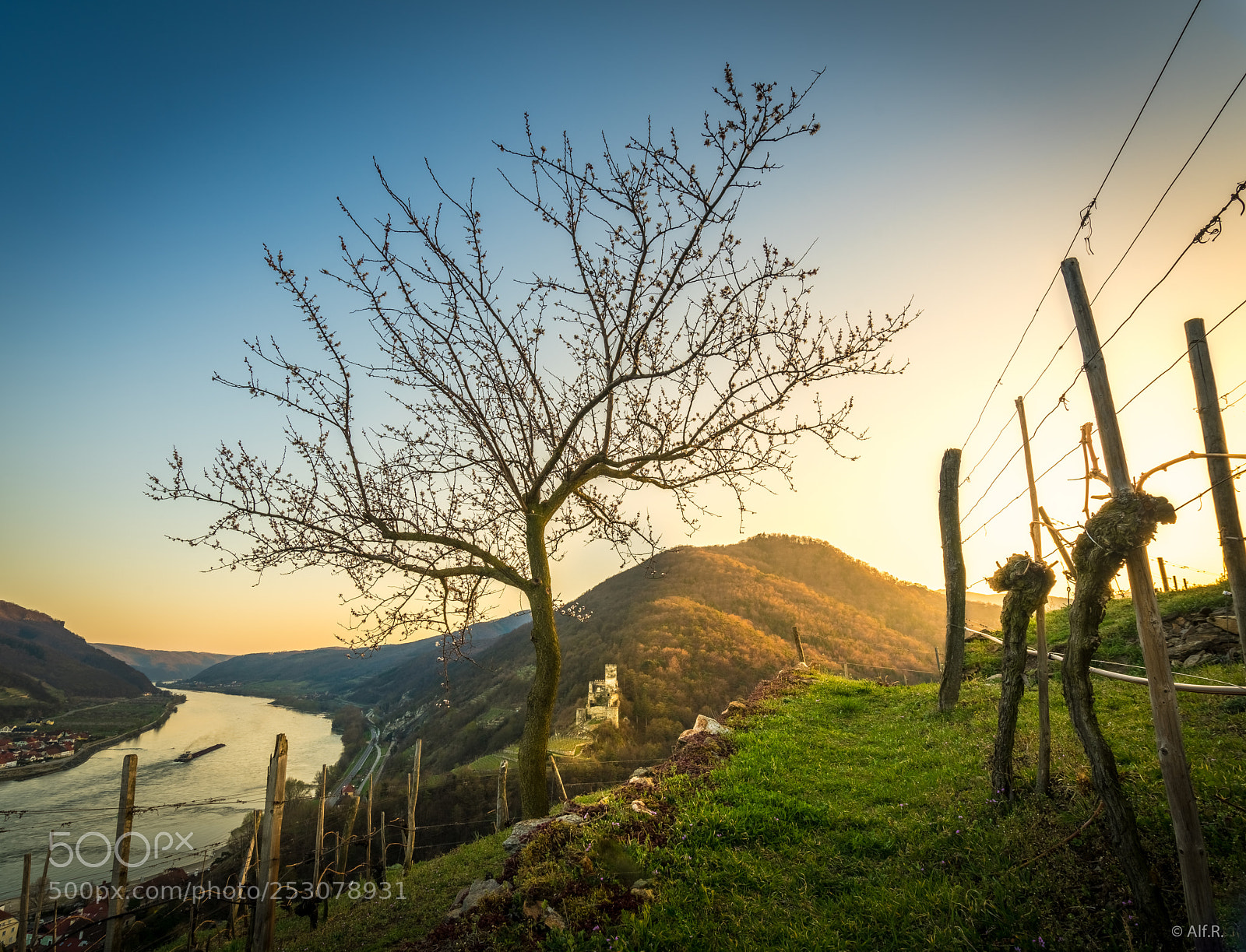 Sony a7R II sample photo. This is the wachau photography