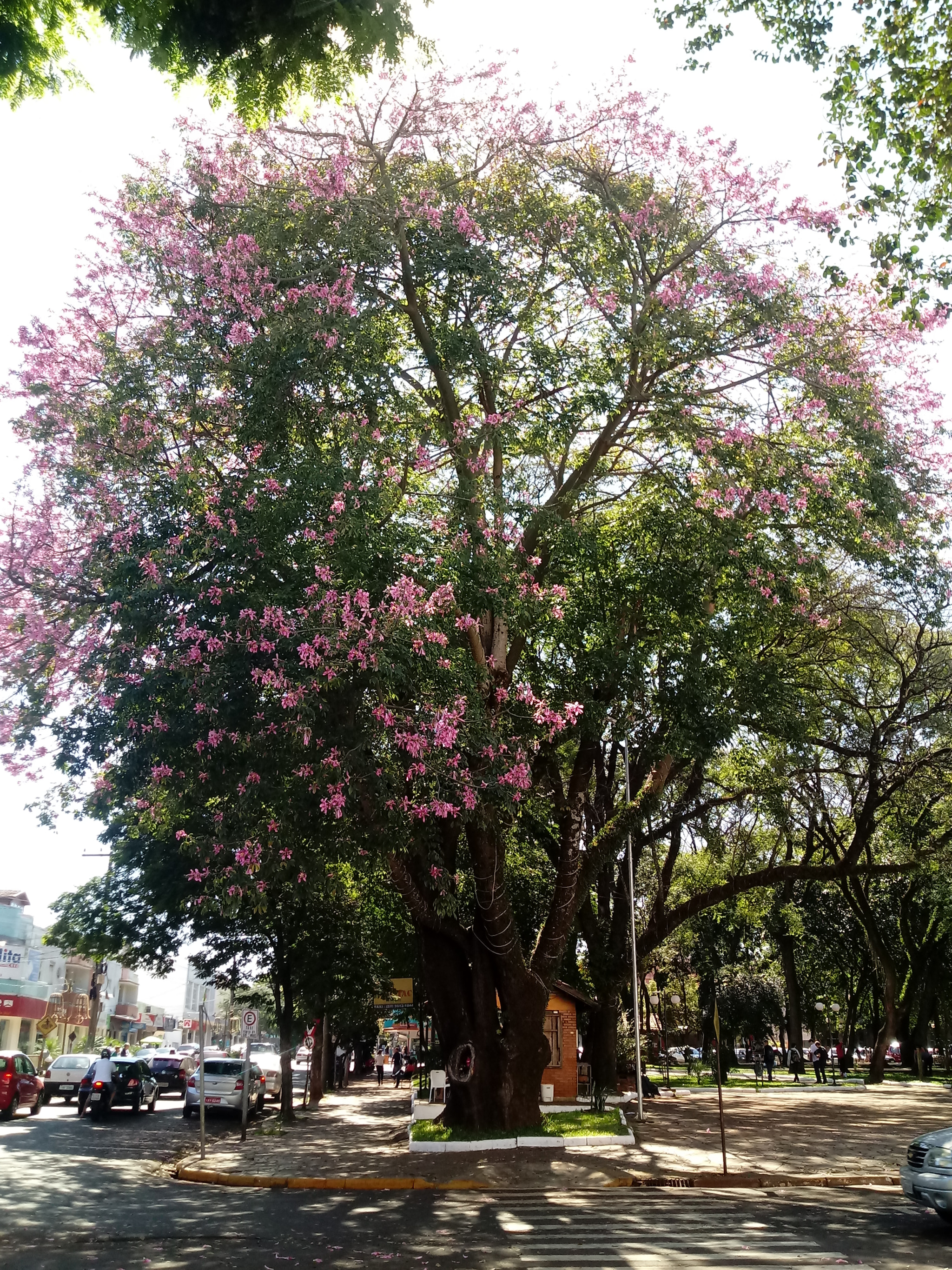 LG K10 (2017) sample photo