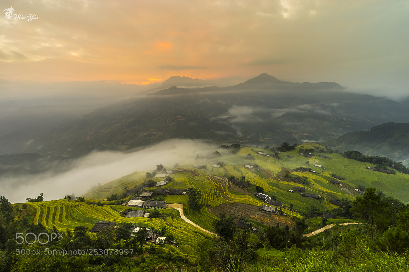 Sony a7 II sample photo. Sunrise in hoang su photography