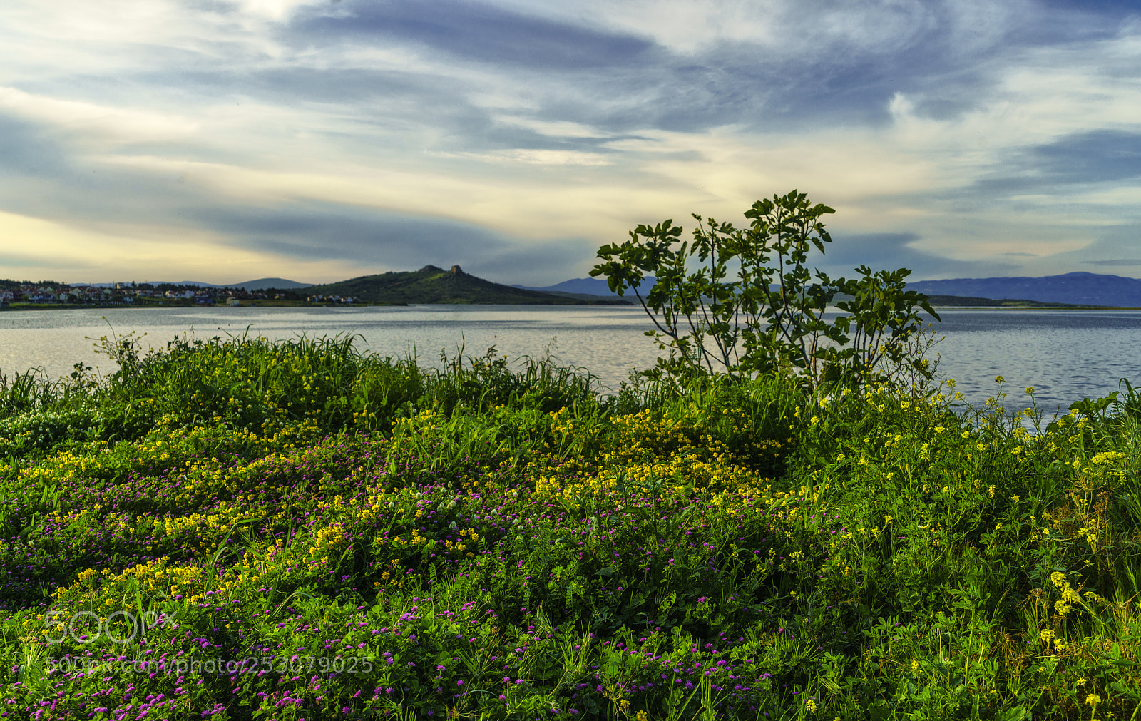 Sony a7R II sample photo. Spring (ix) photography