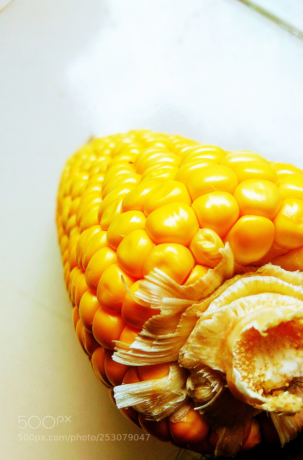 Xiaomi Redmi Note3 sample photo. Corn from farm photography