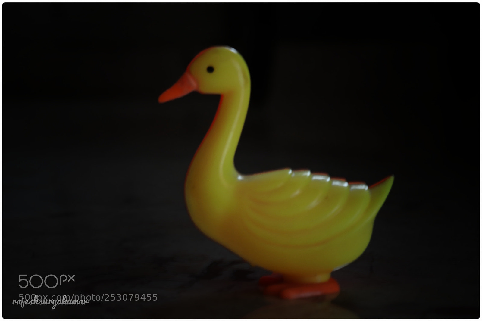 Canon EOS 200D (EOS Rebel SL2 / EOS Kiss X9) sample photo. Duck duck go photography