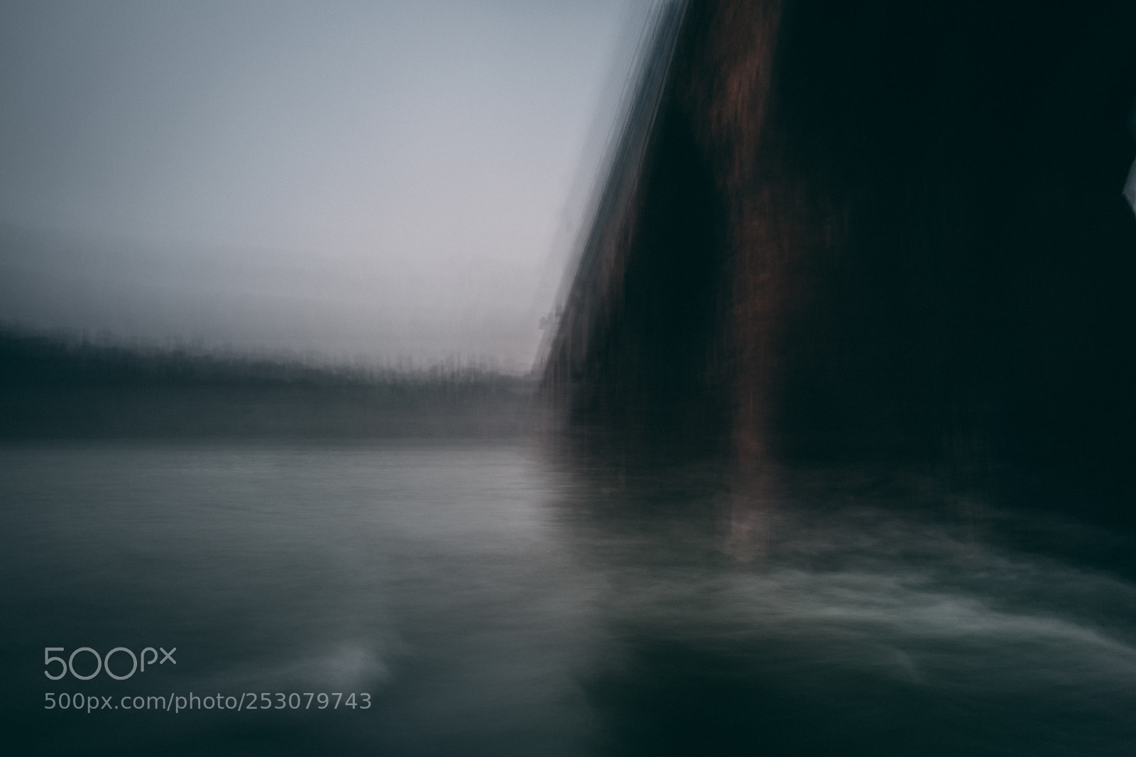 Leica Q (Typ 116) sample photo. Ghosts in the mist photography