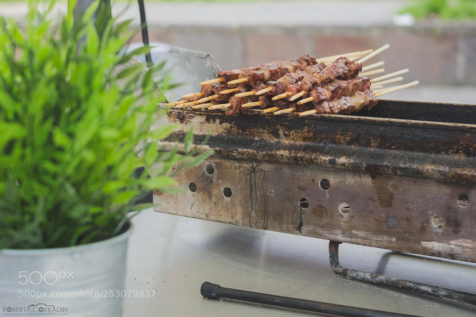 Canon EOS 700D (EOS Rebel T5i / EOS Kiss X7i) sample photo. Arrosticini - street food photography