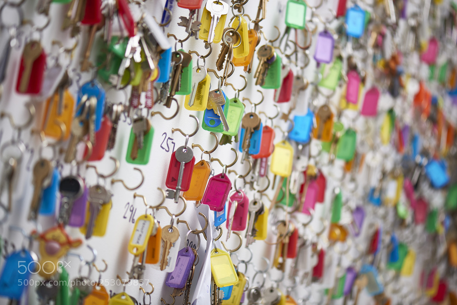 Nikon D800 sample photo. 134.jpg photography