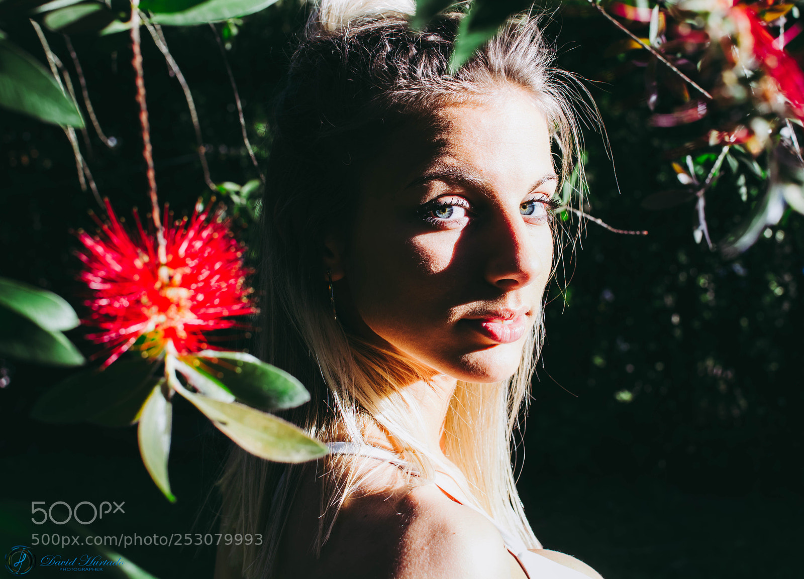Nikon D5200 sample photo. Deep eyes photography