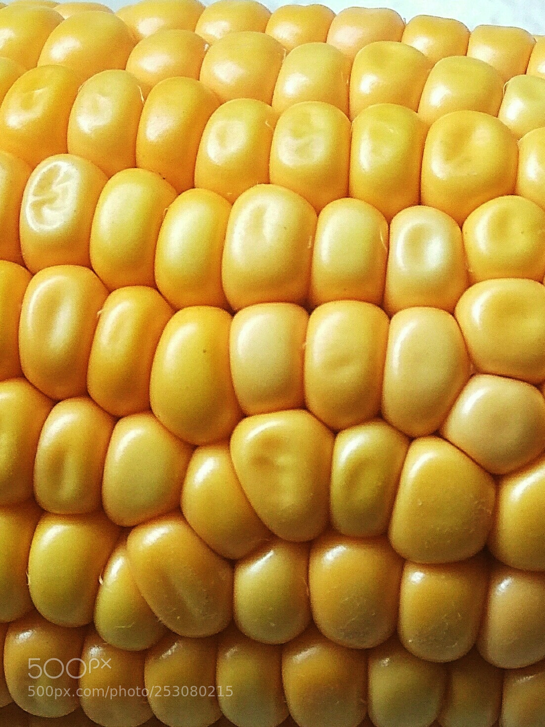 Xiaomi Redmi Note3 sample photo. Corn closeup photography