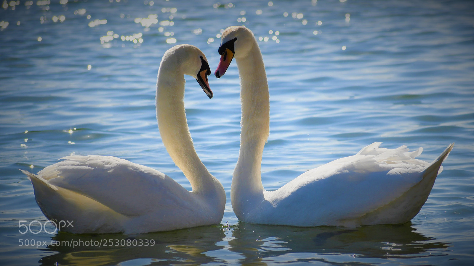 Nikon D7500 sample photo. Moments photography