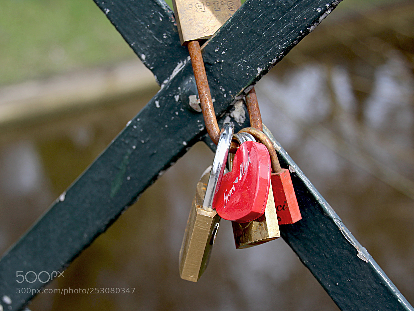 Canon EOS 1300D (EOS Rebel T6 / EOS Kiss X80) sample photo. Padlocks photography