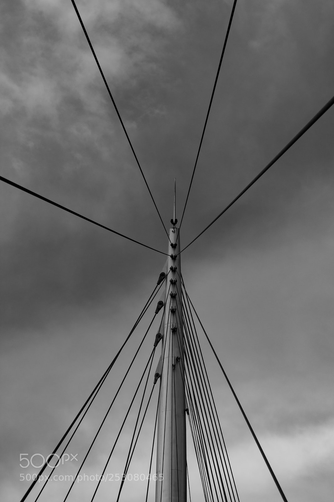 Nikon D3400 sample photo. Steel cable bridge photography
