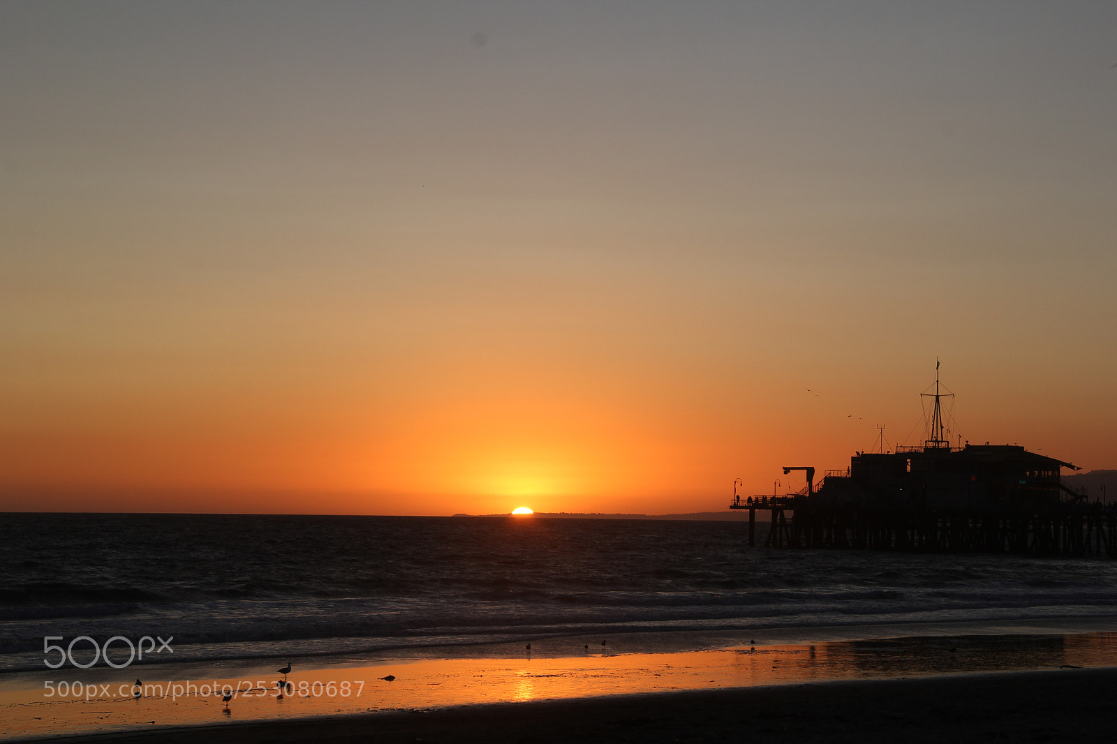 Canon EOS 60D sample photo. Santa monica photography