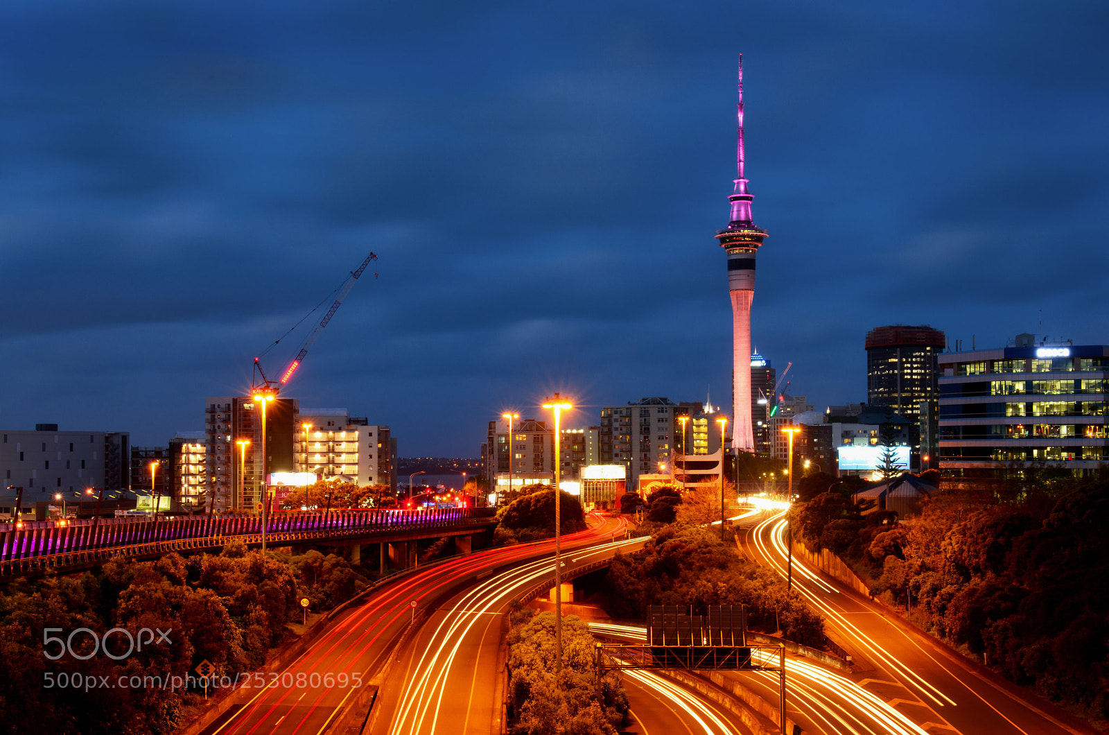 Nikon D800 sample photo. Auckland city at night photography