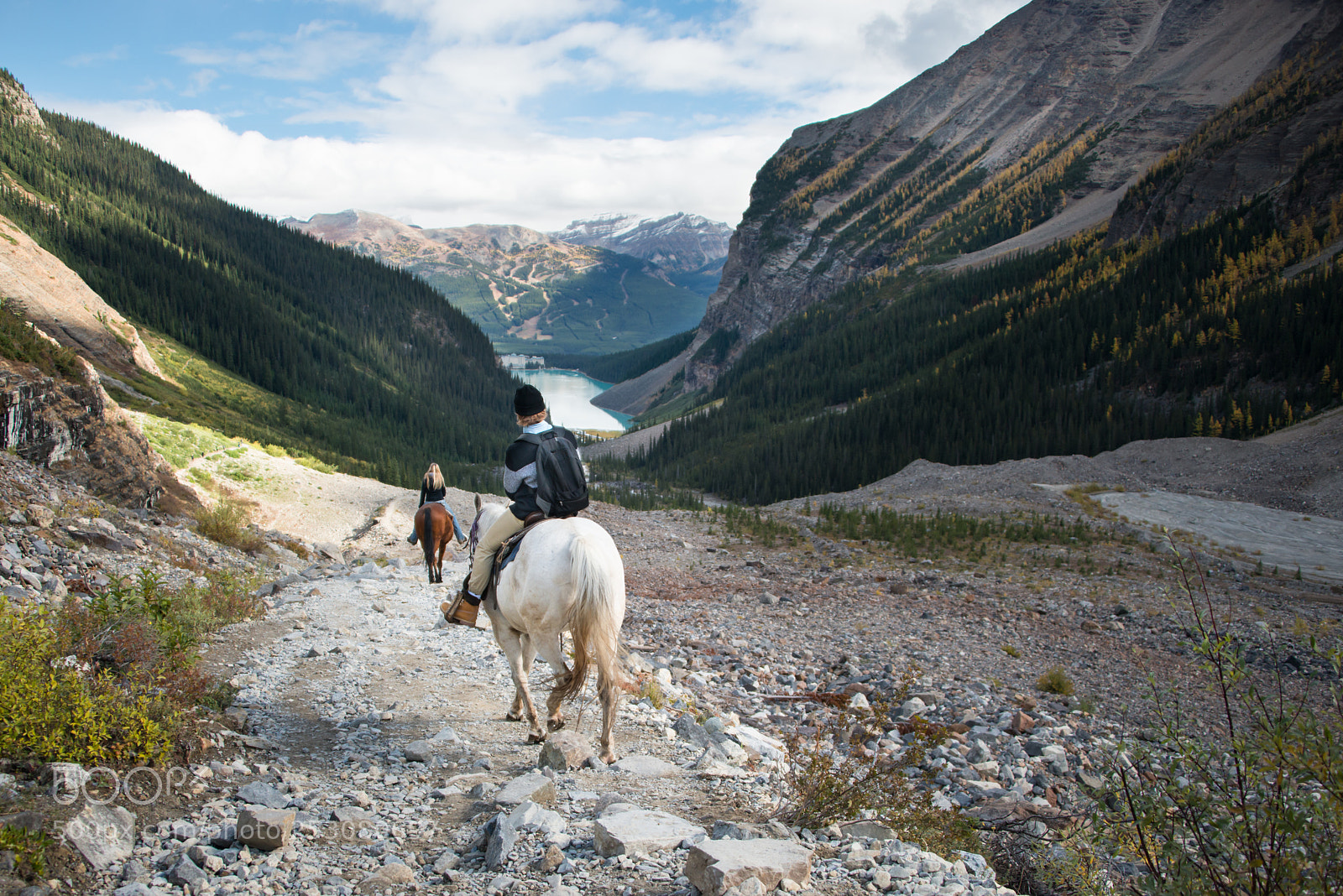 Nikon D800 sample photo. Horse riding in lake photography