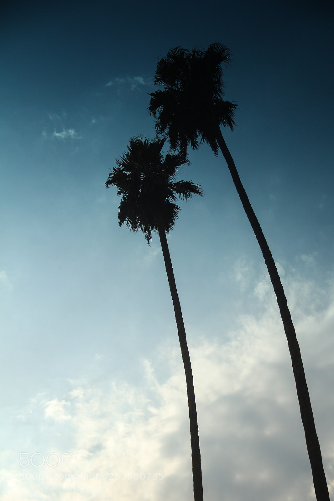 Canon EOS 60D sample photo. Sky dream photography