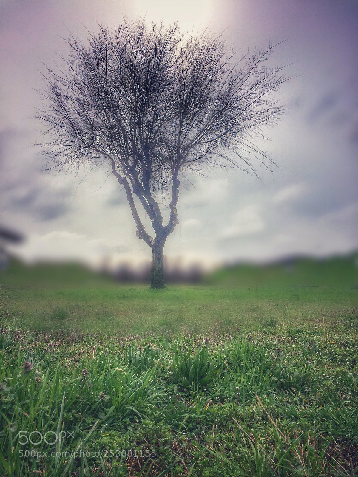 Apple iPhone 5s sample photo. Solitudine  photography