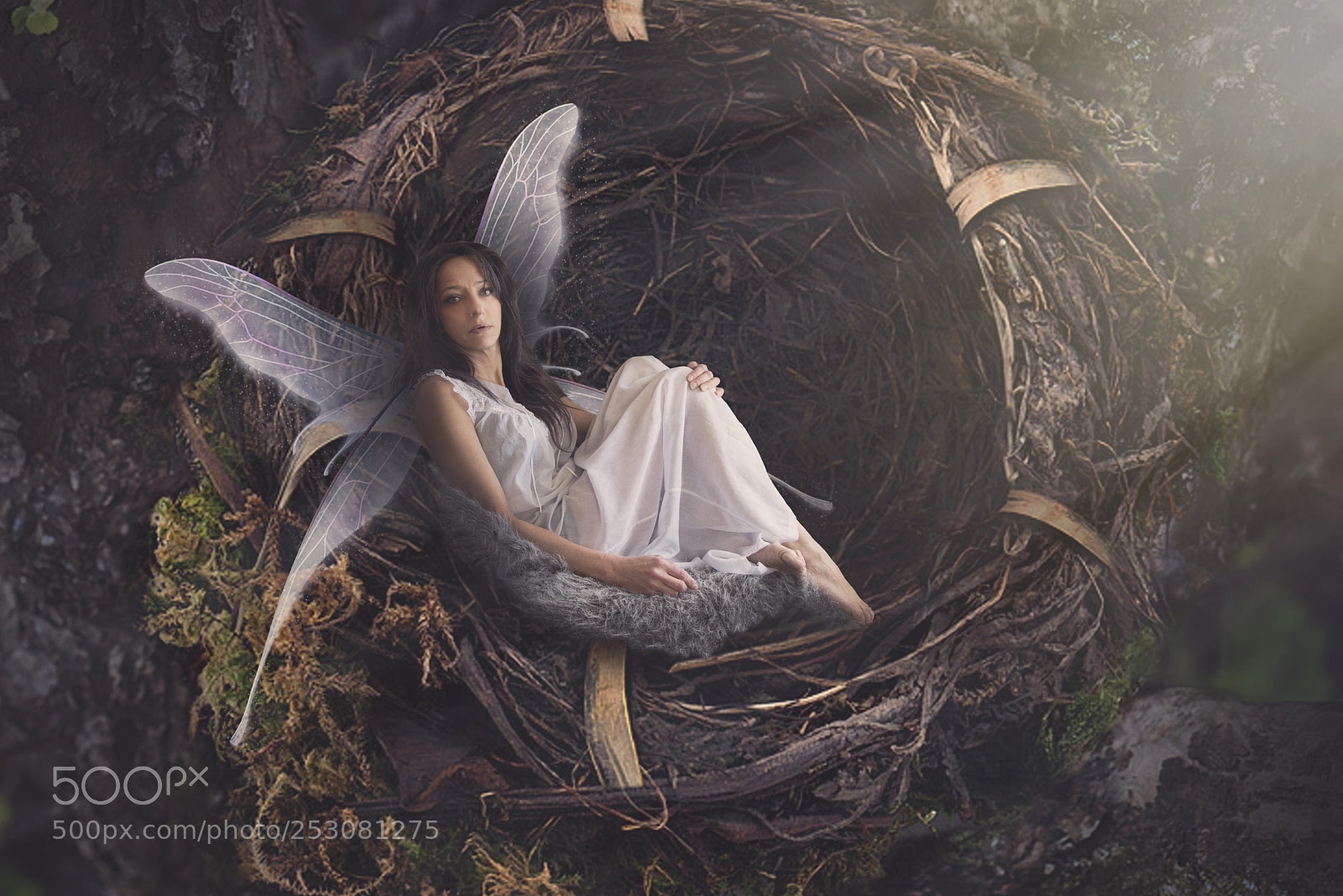 Nikon D810 sample photo. Fairy nest photography