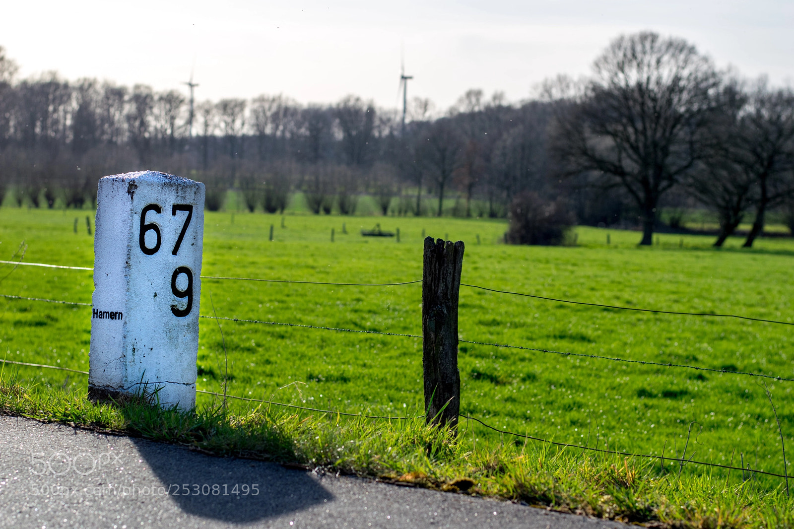 Nikon D5300 sample photo. Untitled photography