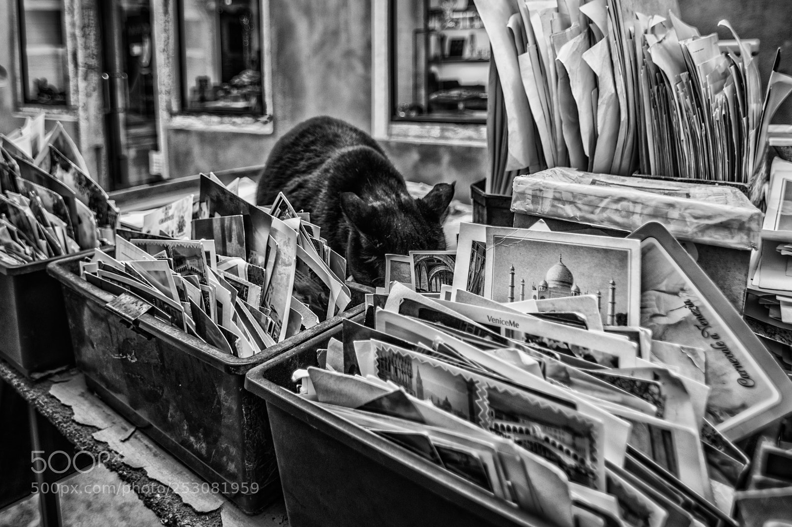 Nikon D5300 sample photo. Street photography
