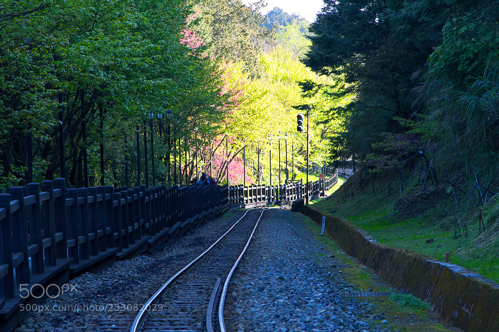 Canon EOS 7D sample photo. Img photography