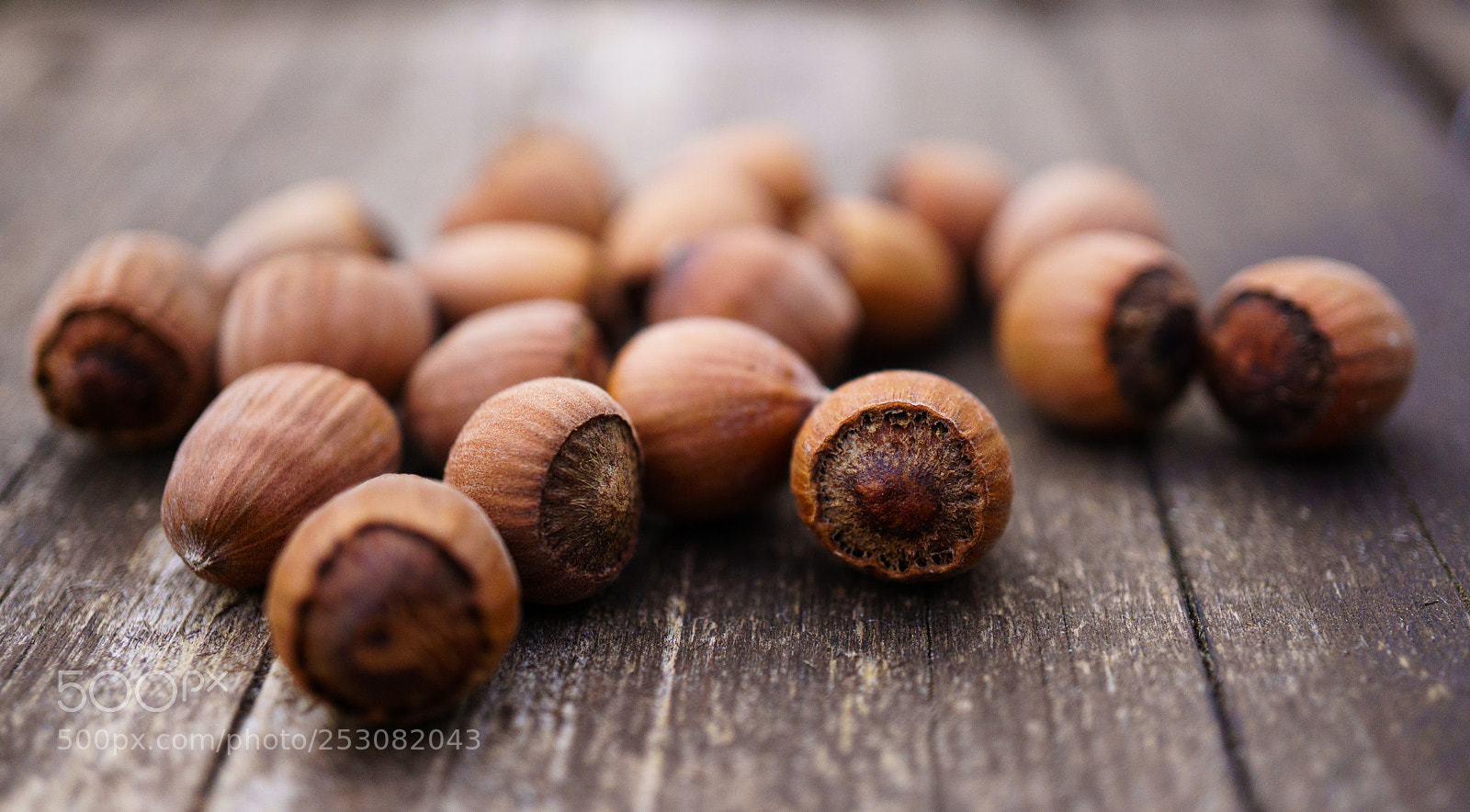 Sony a6000 sample photo. Hazelnuts / noisettes photography