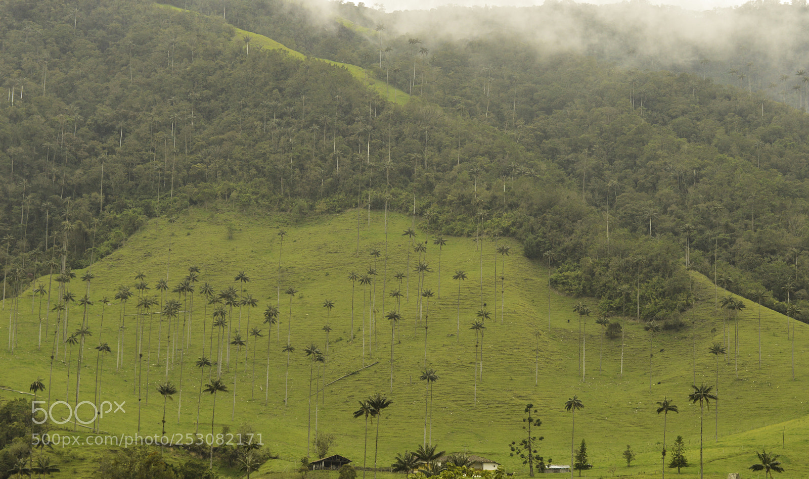 Nikon D3200 sample photo. Valle del cocora. photography