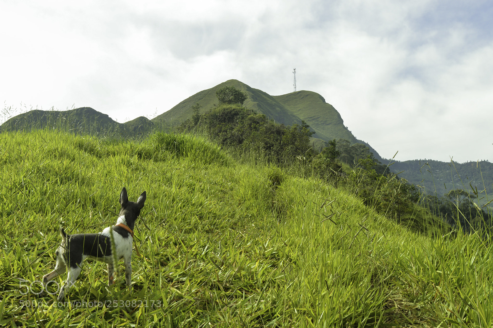 Nikon D3200 sample photo. Montañas. photography