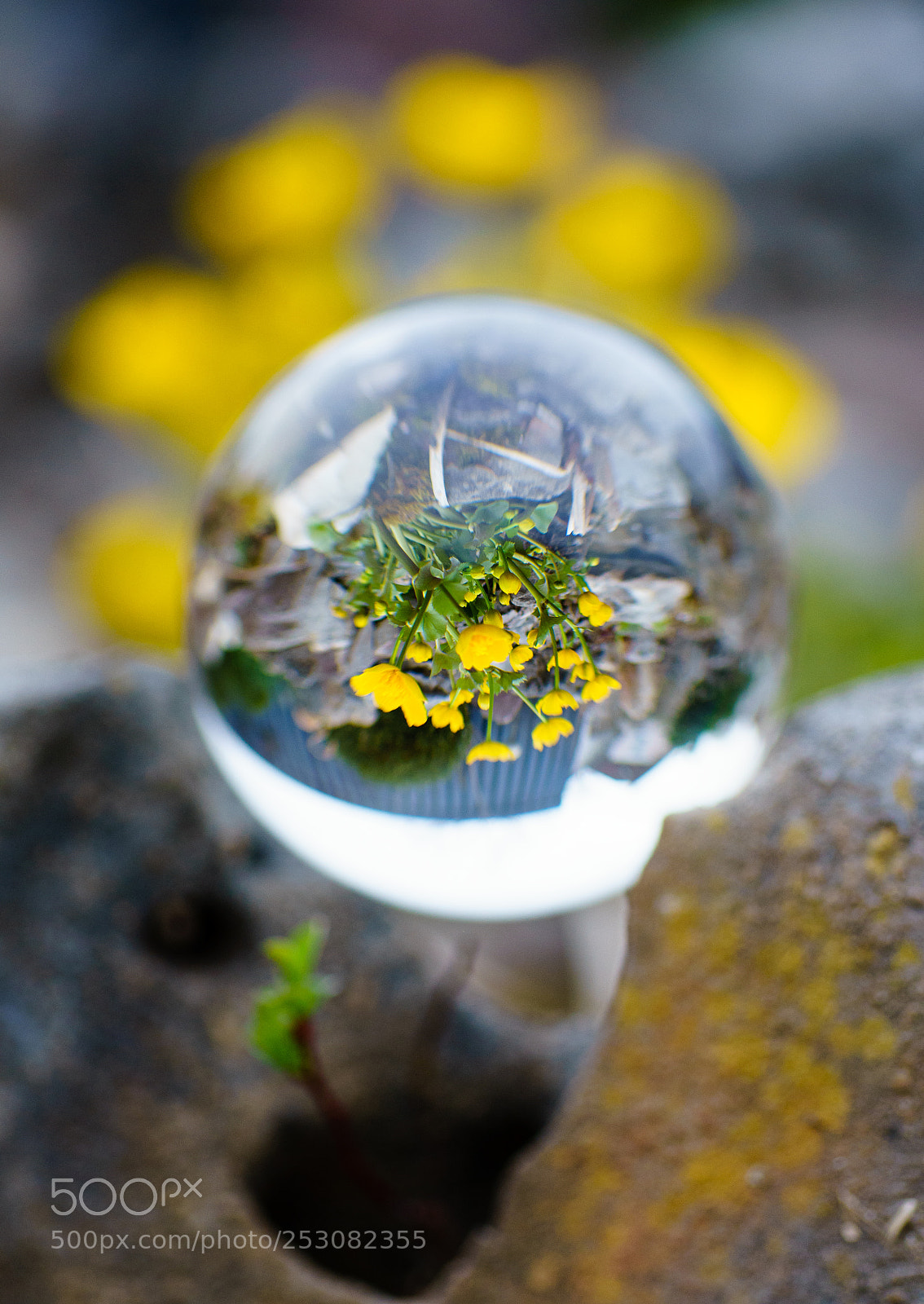 Sony a7 II sample photo. First lensball foto photography
