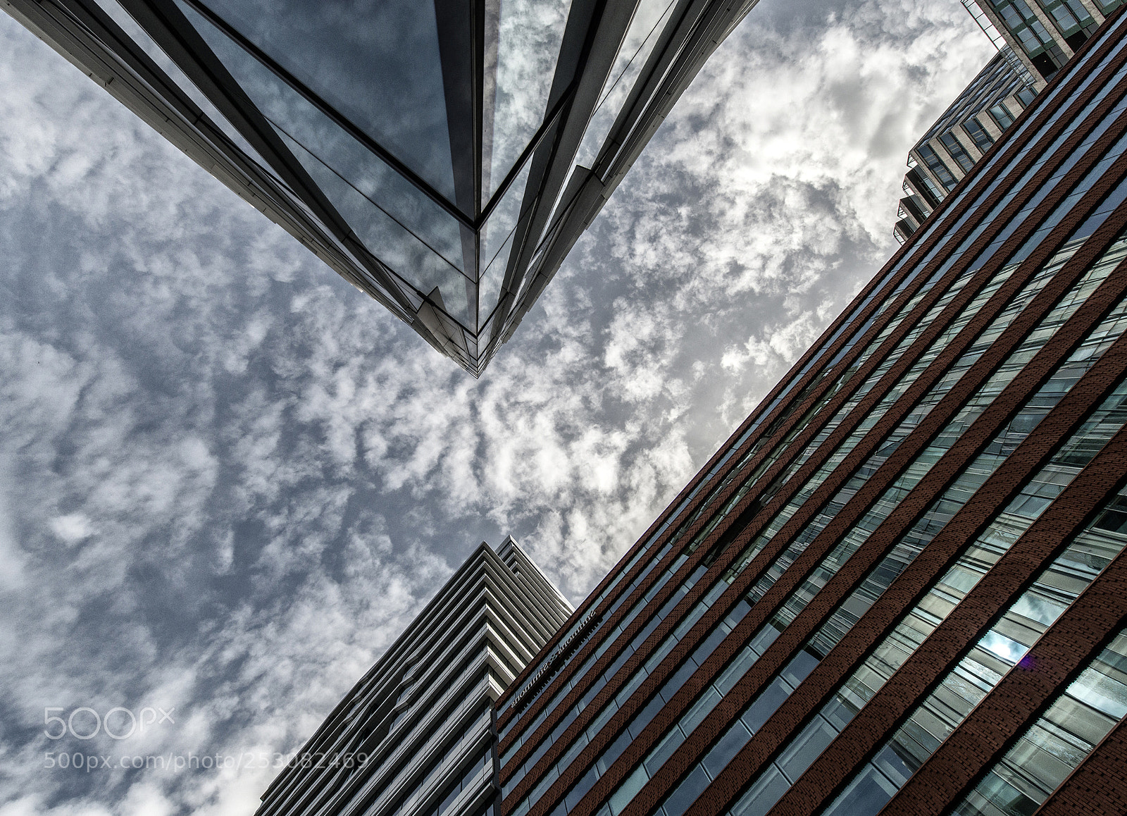 Nikon D800 sample photo. Point down photography