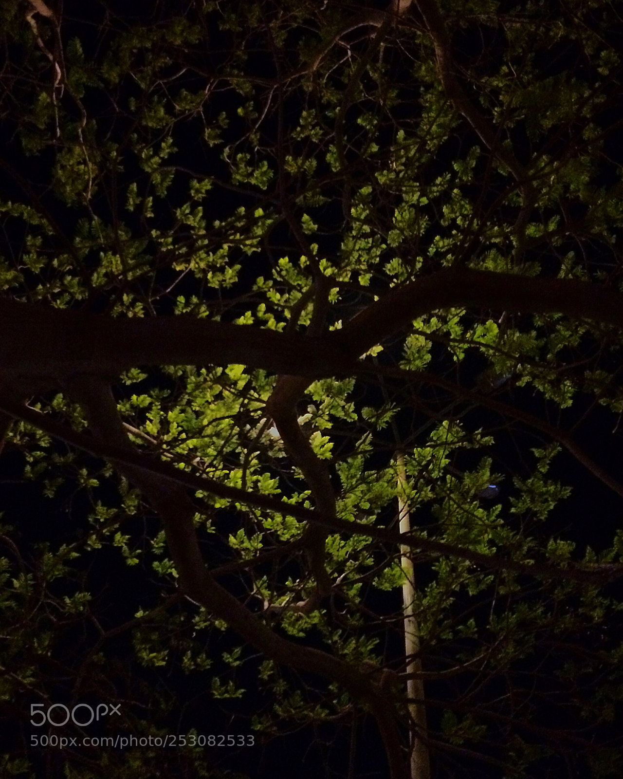 Apple iPhone 5s sample photo. Night sky  photography