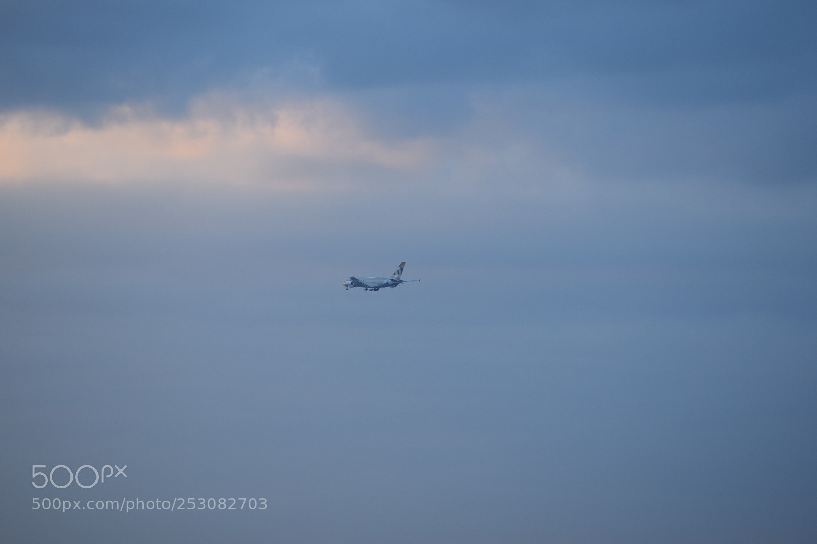 Nikon D3300 sample photo. To the sky photography