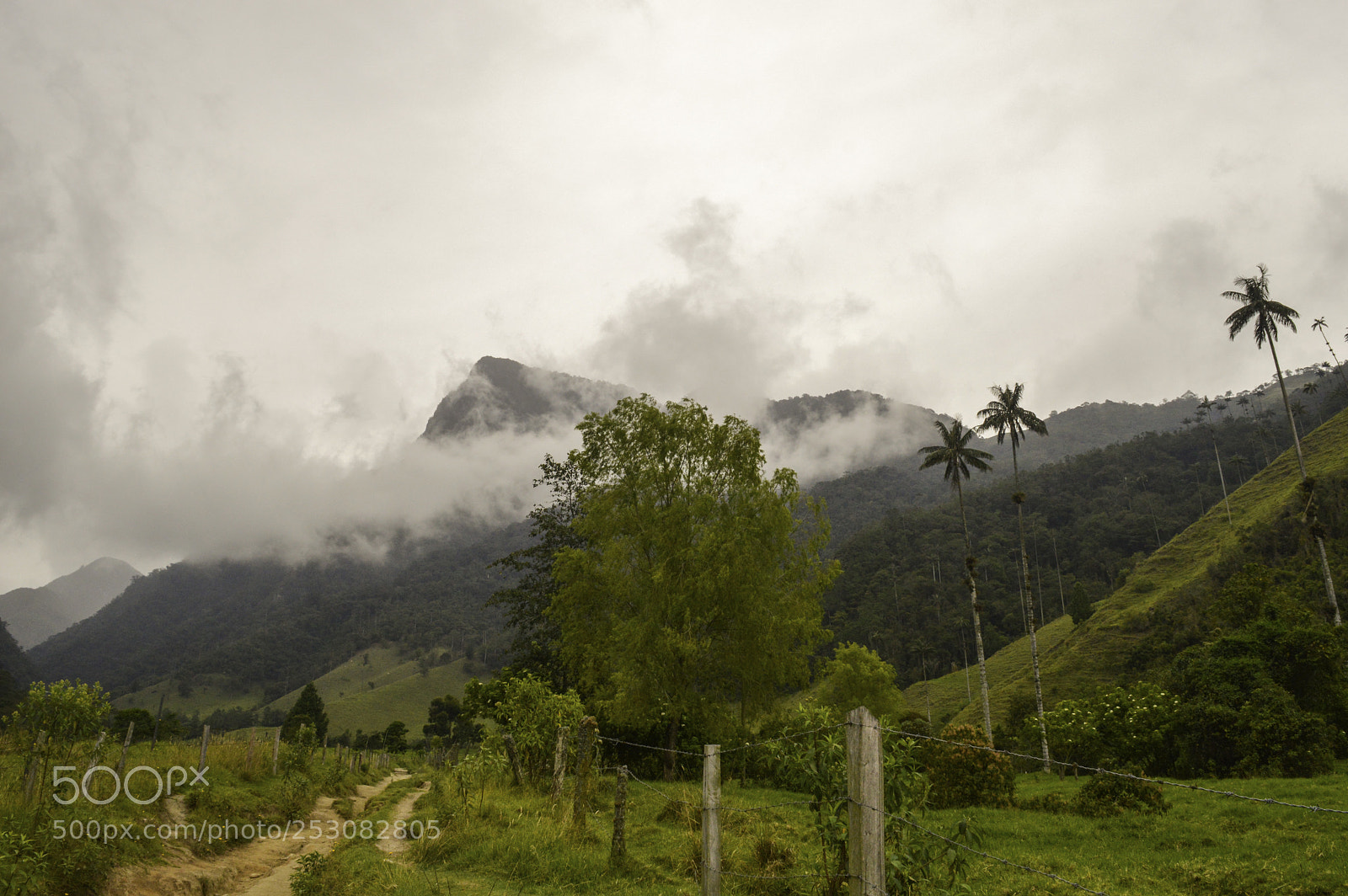 Nikon D3200 sample photo. Caminos. photography