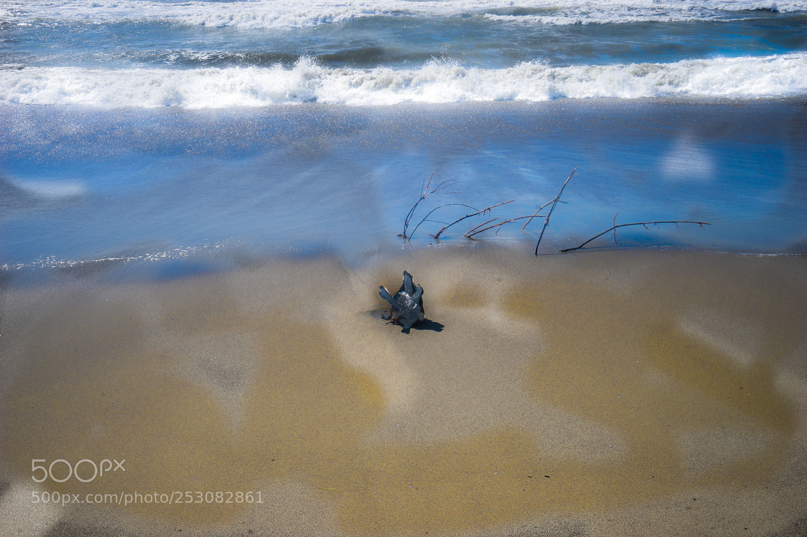 Sony a7 II sample photo. Vecchiano quattro photography
