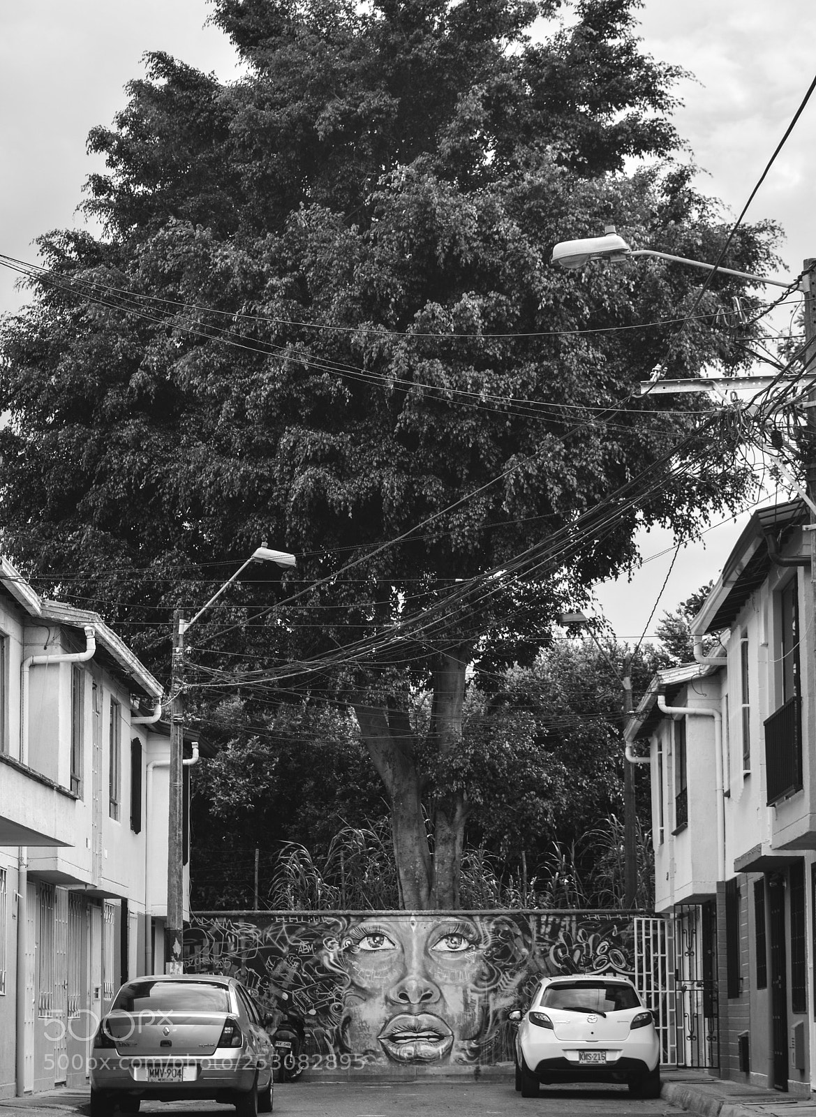 Nikon D3200 sample photo. Explosión mental natural. photography