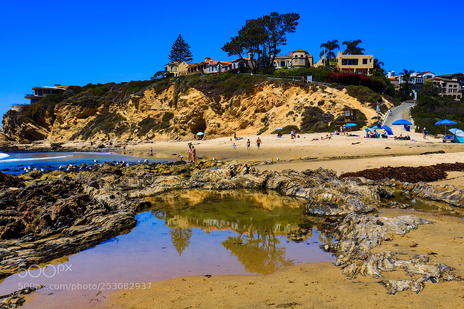 Canon EOS 5DS R sample photo. Corona del mar photography