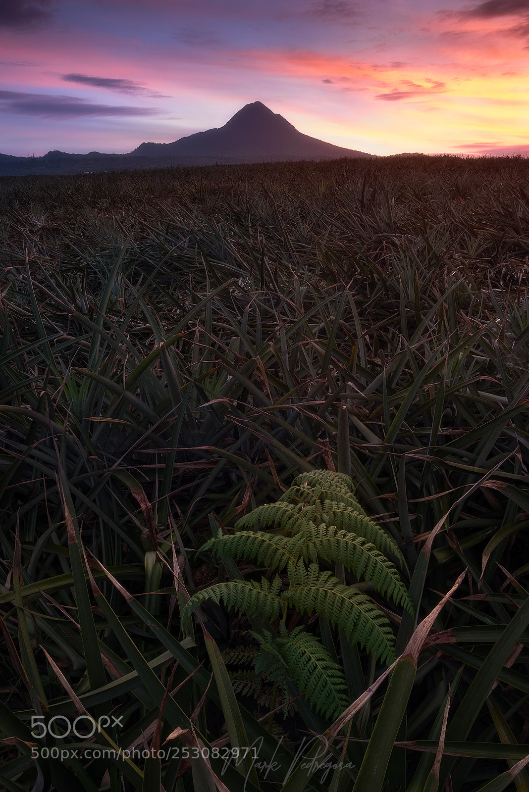 Fujifilm X-T2 sample photo. Sunrise touch photography