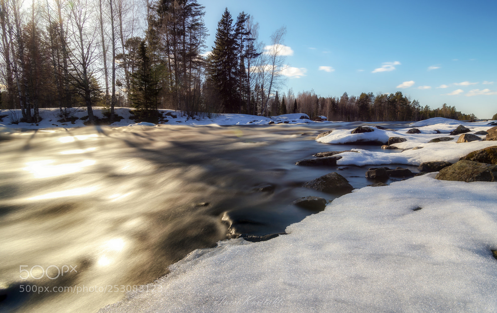 Nikon D600 sample photo. Spring light photography